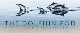 The Dolphine Pod Myrtle Beach's Blog Of Choice